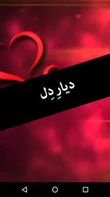 Diyar e Dil android App screenshot 6